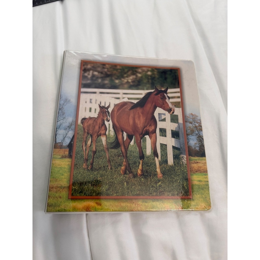 Vintage Y2K Class Act Horse 3 Ring Binder 1 Inch Mare and Foal Photo 2010